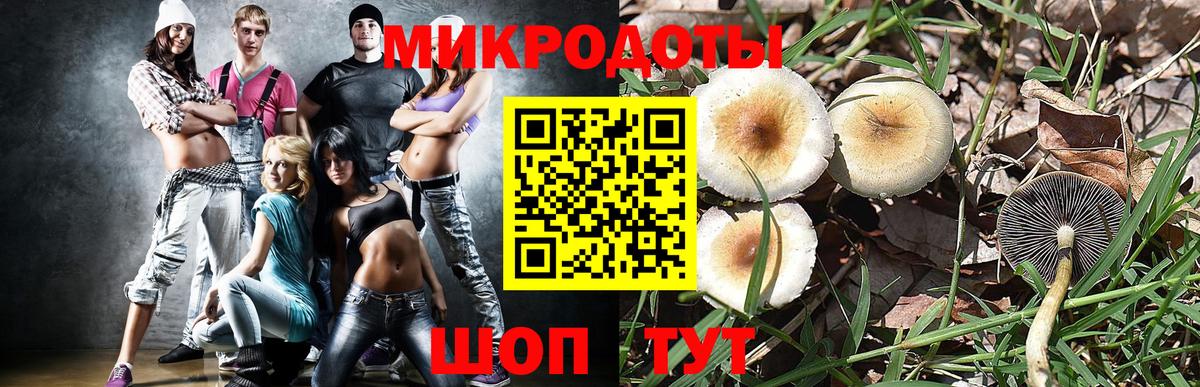 Псилоцибиновые грибы мицелий Лангепас